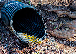 Tree Root Infiltration In Sewer Pipes
