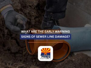 What Are The Early Warning Signs Of Sewer Line Damage?